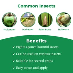 Lamor Pro Insecticide - Lambda Cyhalothrin 5% EC 3