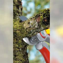 Wolf Garten Anvil Secateurs Alu Professional (RS-5000), Tree Trimmers Secateurs, Plant Cutter For Home Gardening Scissors 2