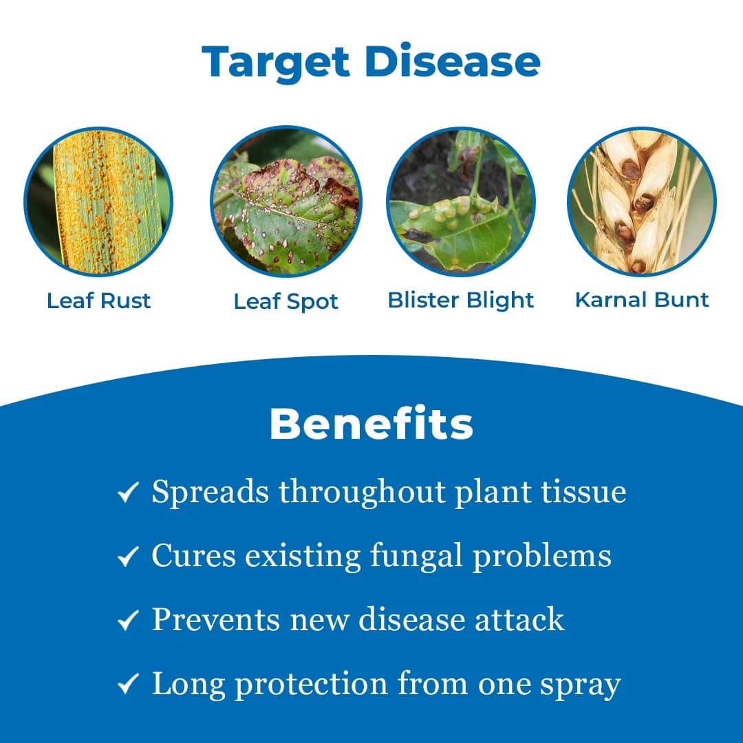 EBS Propi-25 Fungicide - Propiconazole 25% EC - Image 4