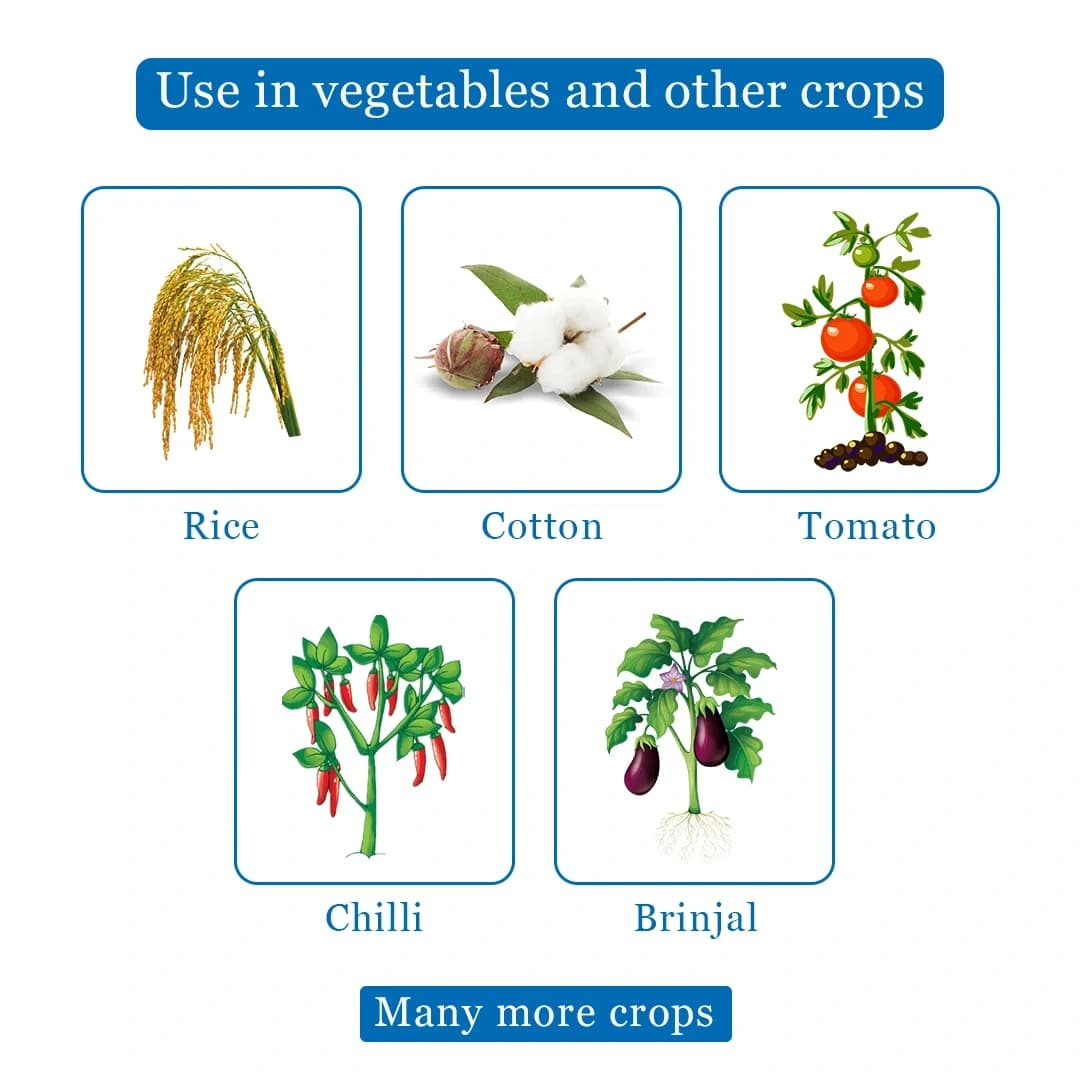 PRAHAR - Lambda Cyhalothrin 5% EC For Controls Sucking and Lepidopteron Pests in Various Crops. - Image 4