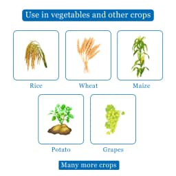 EBS Safaya - Paraquat Dichloride 24% SL, Non Selective Contact Herbicide 4