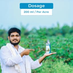 Adama Bumper Propiconazole 25% EC, A Broad Spectrum Systemic Foliar Fungicide. 5