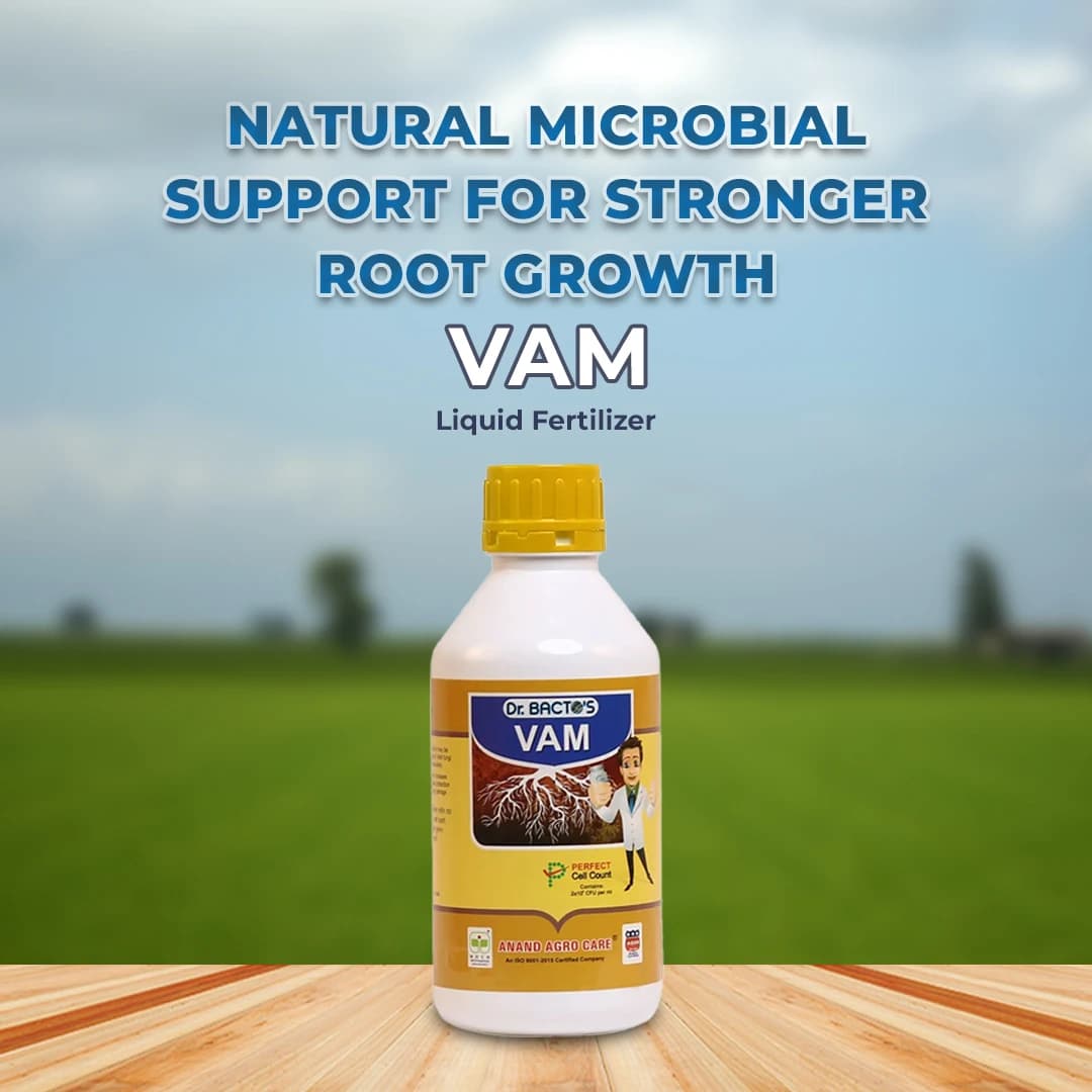 Dr.Bactos VAM Fertilizer - Image 2