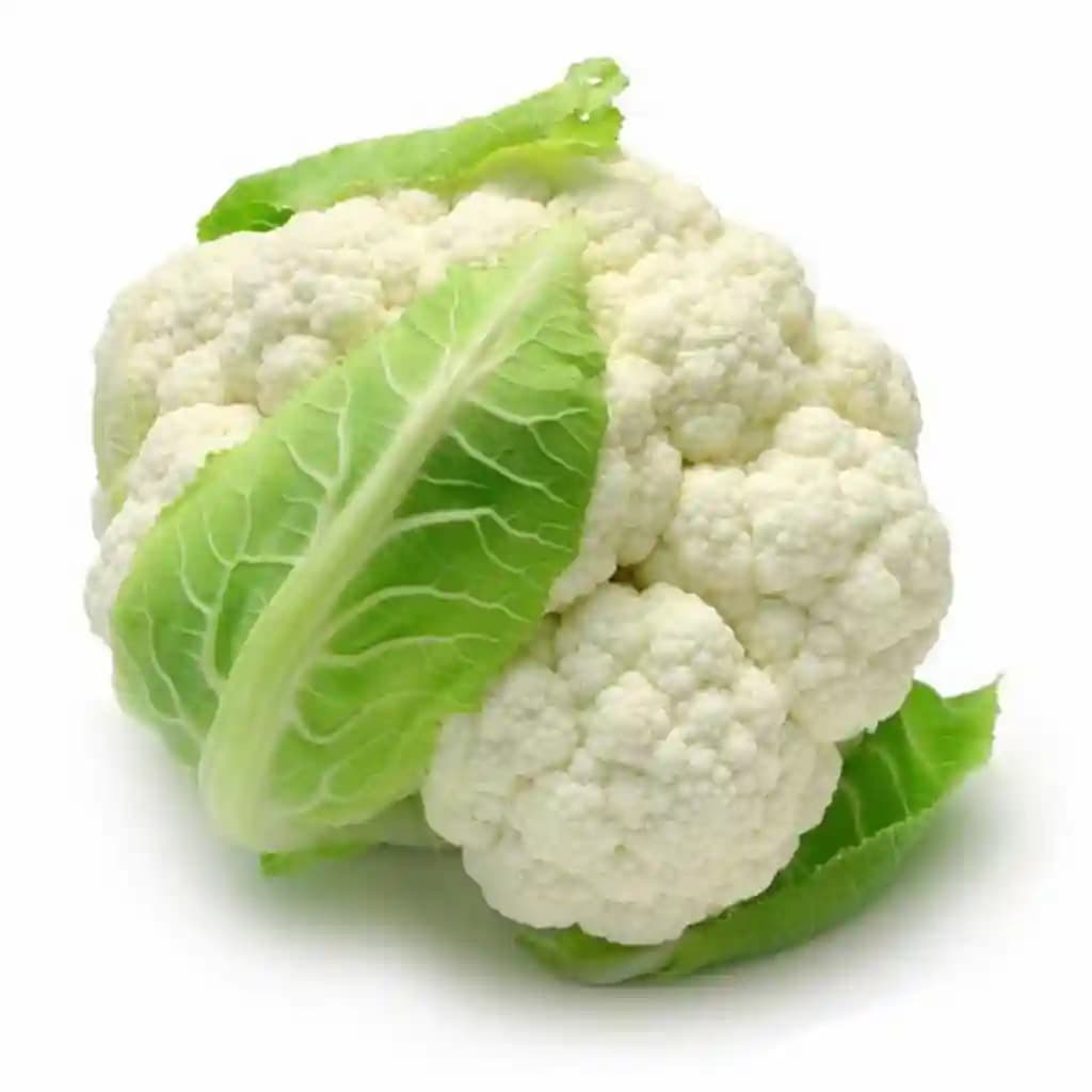 Urja Cauliflower Seeds F1 Hybrid Jyotika II, Best Natural Seeds, Best Germination