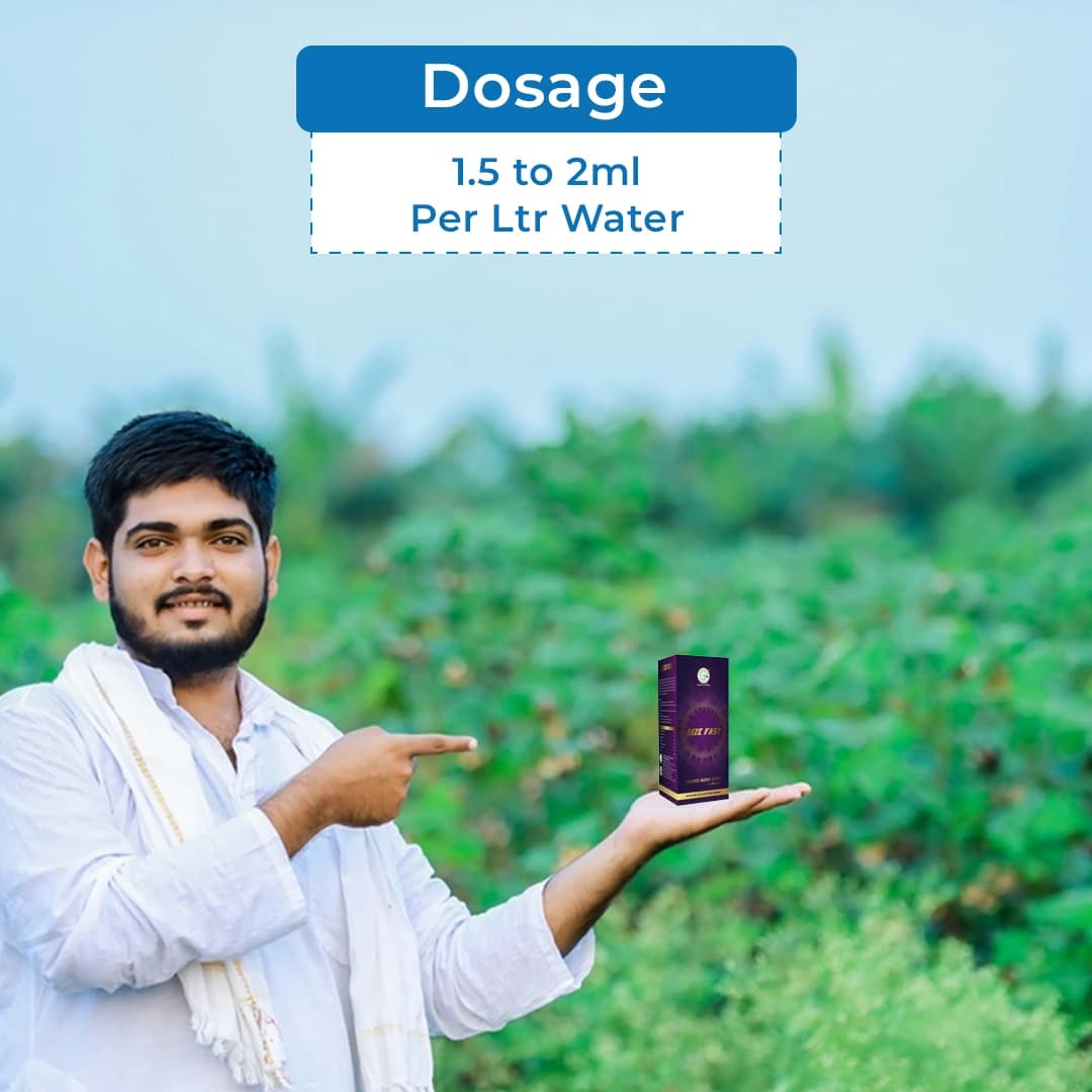आनंद साइज फास्ट - ऑर्गेनिक पौधों की वृद्धि संवर्धक, प्राकृतिक बायो स्टिमुलेंट, फल व्यवस्था की दर को बढ़ाता है। - Image 5