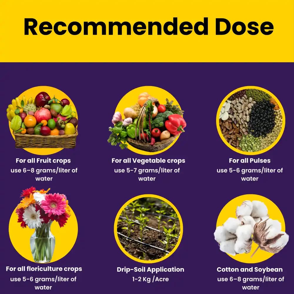 Utkarsh NOP 13:00:45 (Potassium Nitrate) KNO3 (100% Water Soluble Complex Fertilizer), Best for Drip Irrigation - Image 4