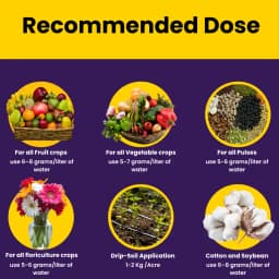 उत्कर्ष एनओपी 13:00:45 (पोटेशियम नाइट्रेट) केएनओ3 (100% पानी में घुलनशील समूह उर्वरक), बूंद से सिंचाई के लिए सर्वश्रेष्ठ 4