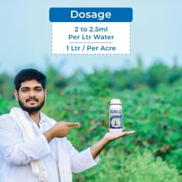 CUREAL Best Fungicide and Bactericide Zinc Based, Nontoxic and Eco-Friendly 5