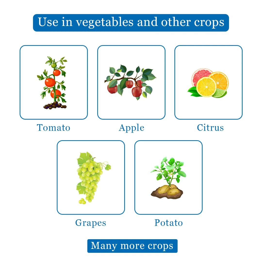 FMC Centaurus Tebuconazole 6.7% + Captan 26.9% SC Fungicide, Control Fungal Diseases for Multiple Crops - Image 4