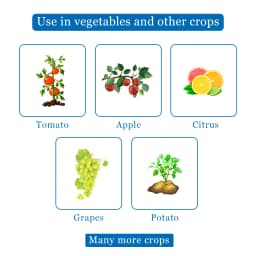 एफएमसी सेंटरस टेबुकोनाजोल 6.7% + कैप्टन 26.9% एससी फफूंदनाशक, कई फसलों में कवक जनित रोगों का नियंत्रण 4