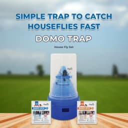 Barrix House Fly Domo Trap With Combo Of Kairo And Phreo Lure, Best For Housefly, Highly Pure Para-Pheromones, Toxic Free Lure. 2