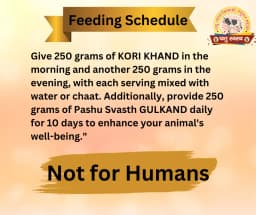 PASHU SVASTH KORI KHAND, Herbal Cooling Booster For Cattle And Buffaloes, Designed To Cool Cattle During Hot Weather, Increase Milk Production 4