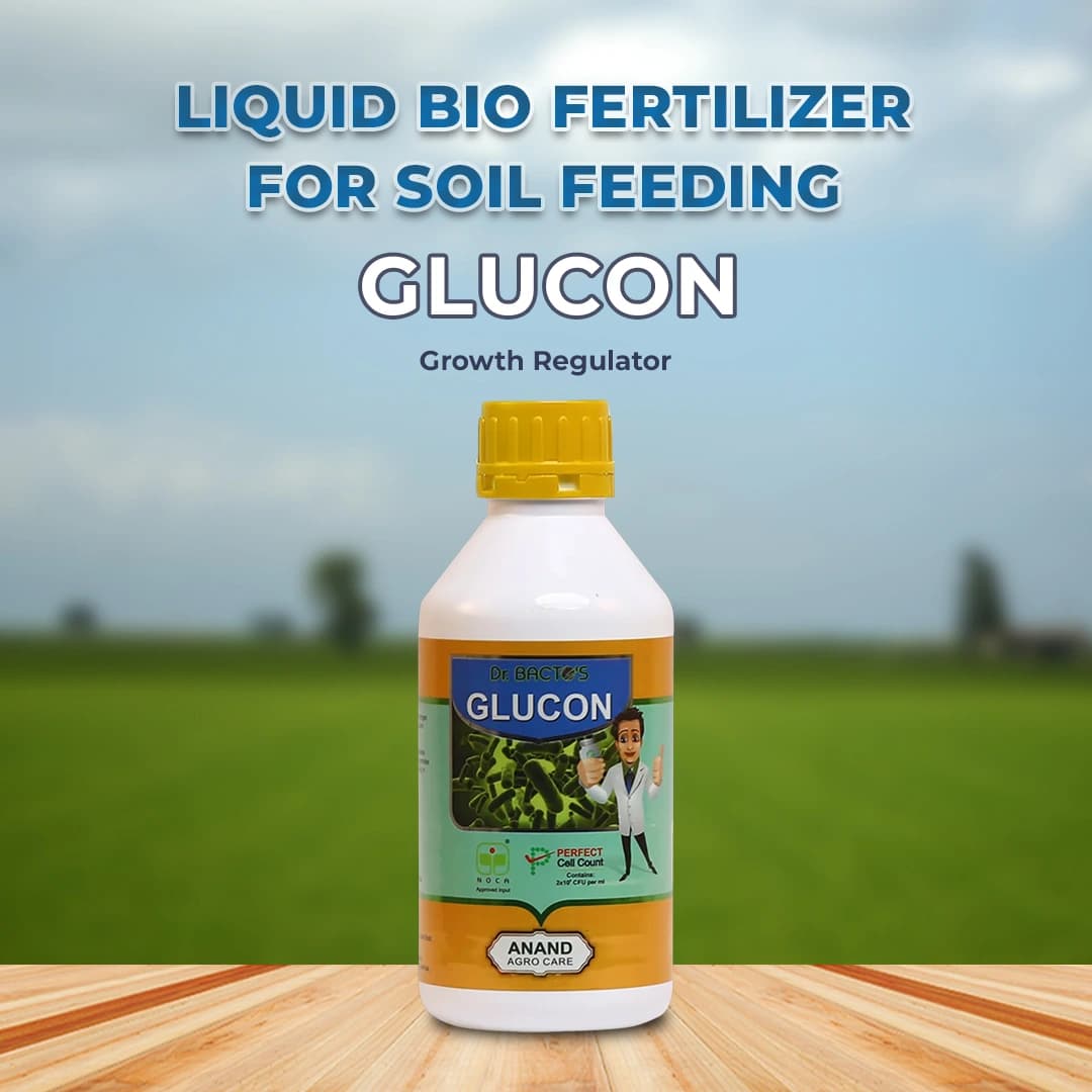 डॉ. बैक्टो ग्लूकोन - गन्ने के पौधे की जड़ों, तनों और पत्तियों में नाइट्रोजन स्थिरीकरण, जड़ों की वृद्धि को बढ़ावा देता है - Image 2