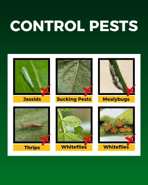 Katyayani Sarvashakti Organic Pesticide, Ultimate Control For Sucking Pests - Image 3