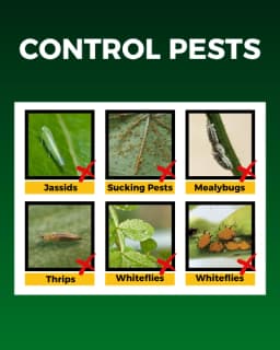 कात्यायनी सर्वशक्ति ऑर्गेनिक कीटनाशक, रस चूसने वाले कीटों के लिए सर्वोत्तम नियंत्रण 3