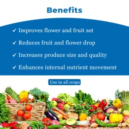 TATA Rallis Flowbor Plant Growth Nutrient, Boron Containing Boron Ethanolamine, Completely Soluble in Water 4