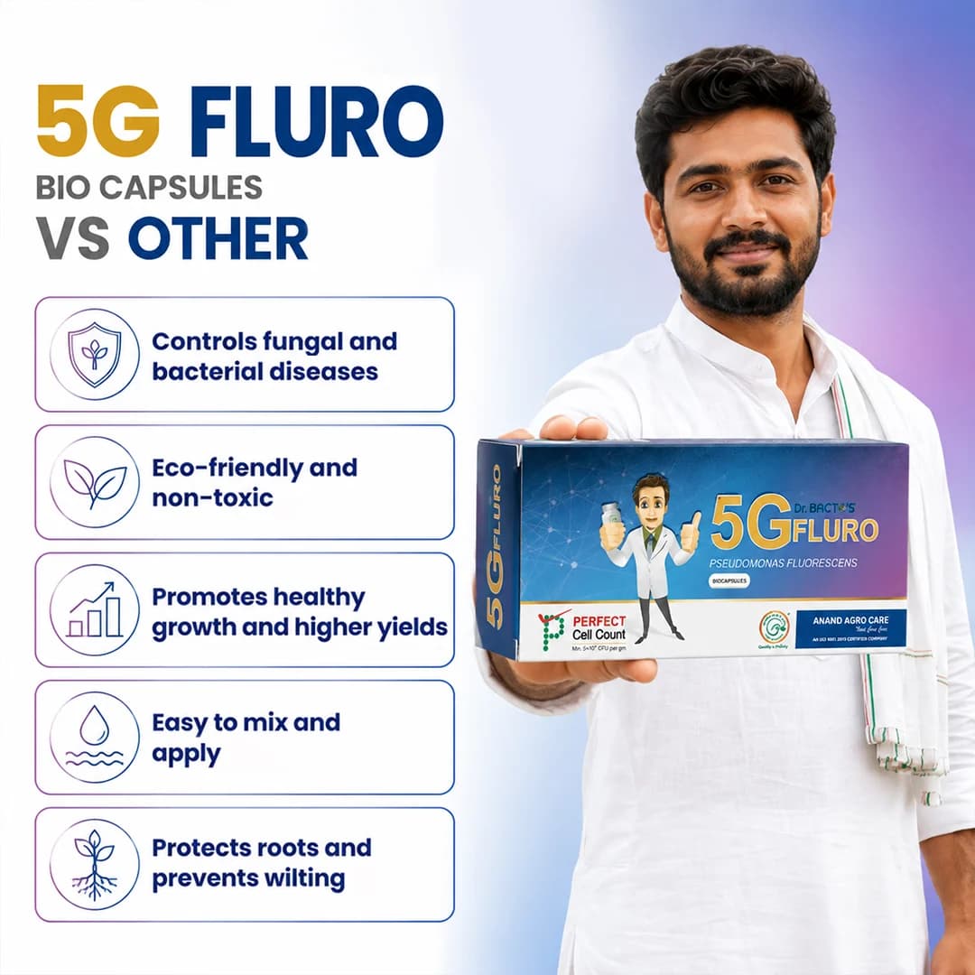 डॉ. बैक्टो के 5जी फ्लूरो बायो कैप्सूल, स्यूडोमोनास फ्लूरोसेंस विभिन्न फंगल और जीवाणु रोगों के विरुद्ध प्रभावी। - Image 6