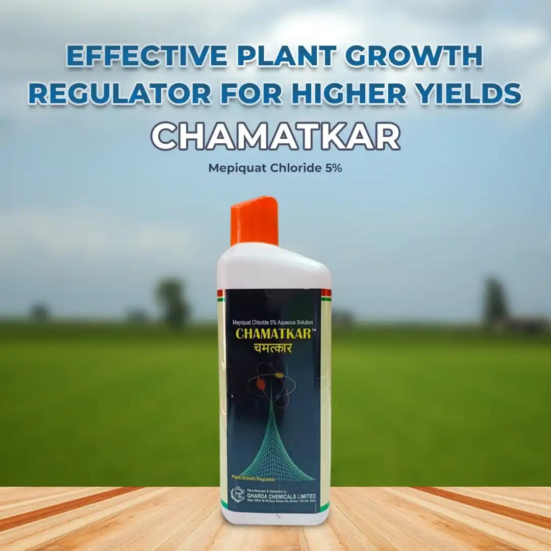 Gharda Chamatkar Growth Regulator, Mepiquat Chloride 5% Aqueous Solution, Excessive Vegetative Growth and Increase Crop Yield - Image 2