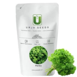 Urja Cress Curled Parsley Seeds, Bright Green Leaves Are Finely Divided And Curled, Cold Weather Crop 2