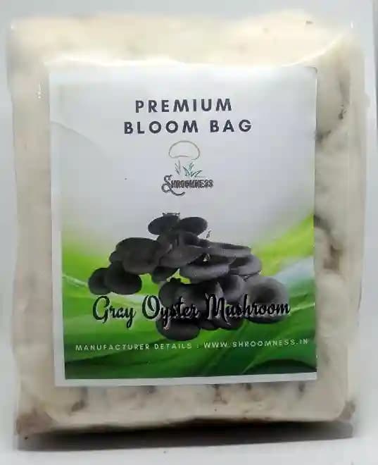 Shroomness Oyster Mushroom Combo, Ready To Fruit Mushroom Block (White, Grey, Yellow, Pink) - Image 5