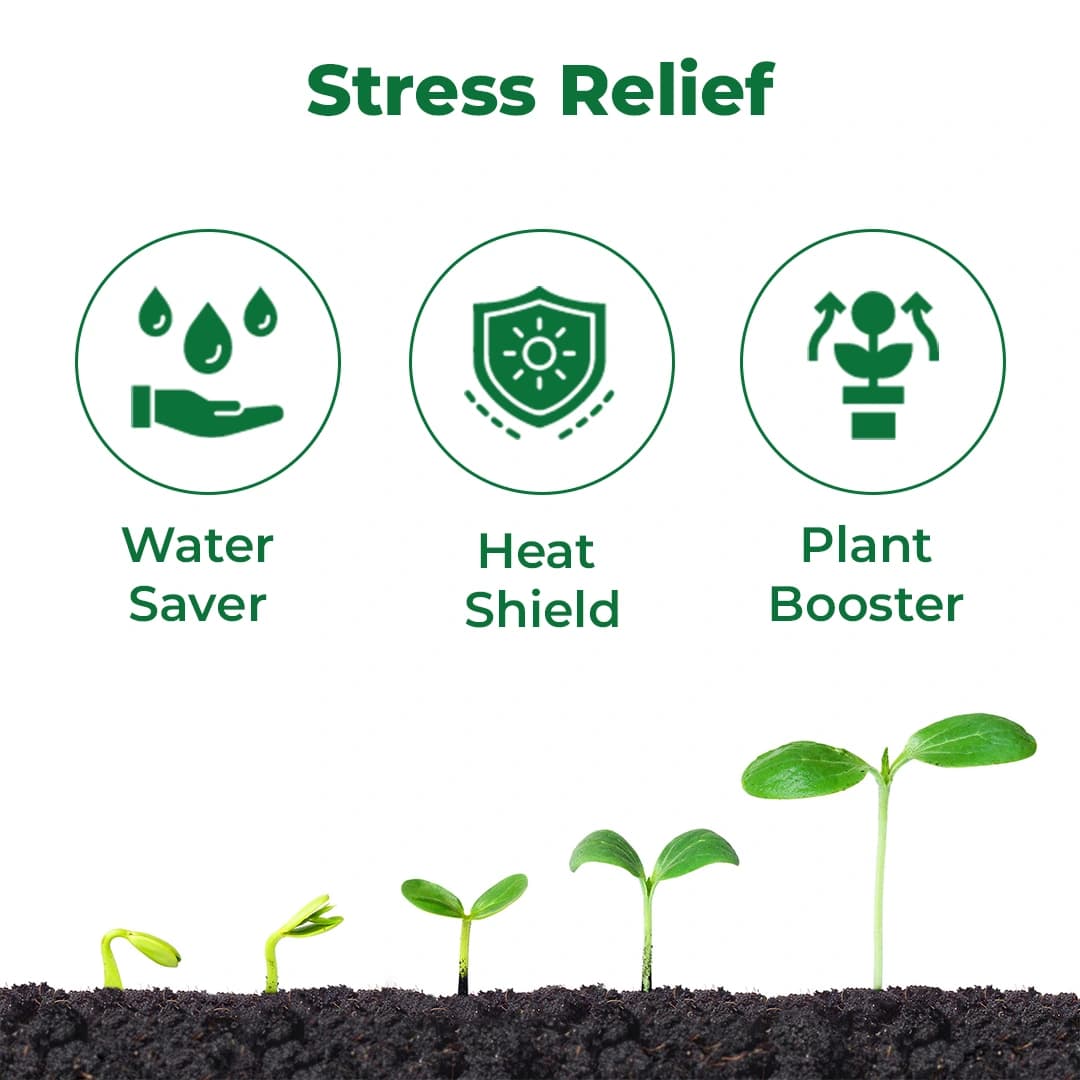 T.Stanes Green Miracle Fertilizer - Image 3