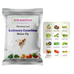 SK Agrotech Bactrocera Cucurbitae Melon Fly Pheromone Trap With Lure For Vegetables 8