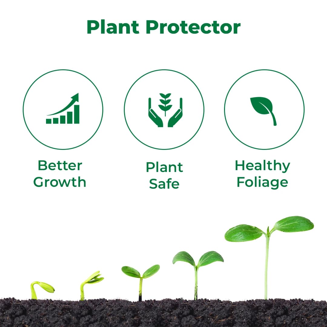 प्राकृतिक नीम ऑइल 300 पीपीएम।, साफ और गाढ़ा ठंडा दबाया हुआ, 100% जैविक और पानी में घुलनशील। बागवानी और कृषि उपयोग के लिए. - Image 3