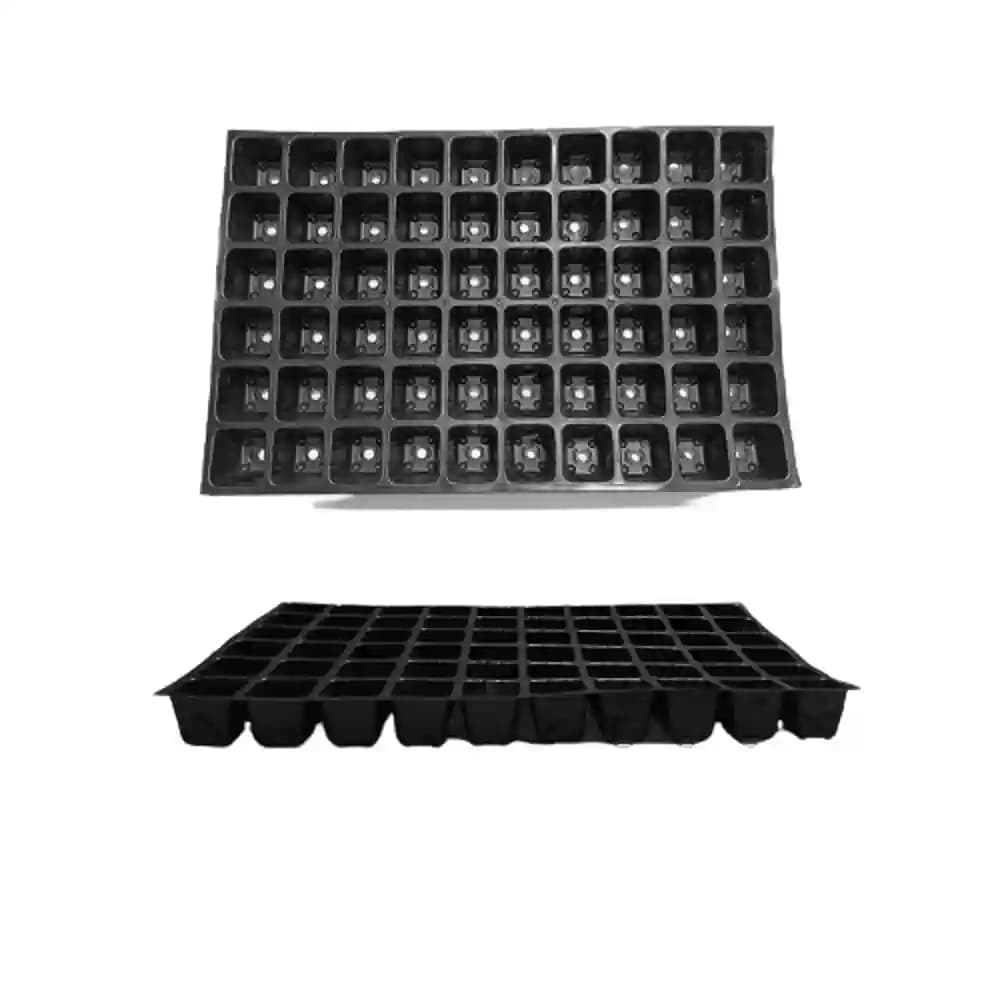 Shivsuraj 60 Cavity Seedling Tray Square Shape Hole Germination Tray, Nursery Tray For Sowing Seeds - Image 9