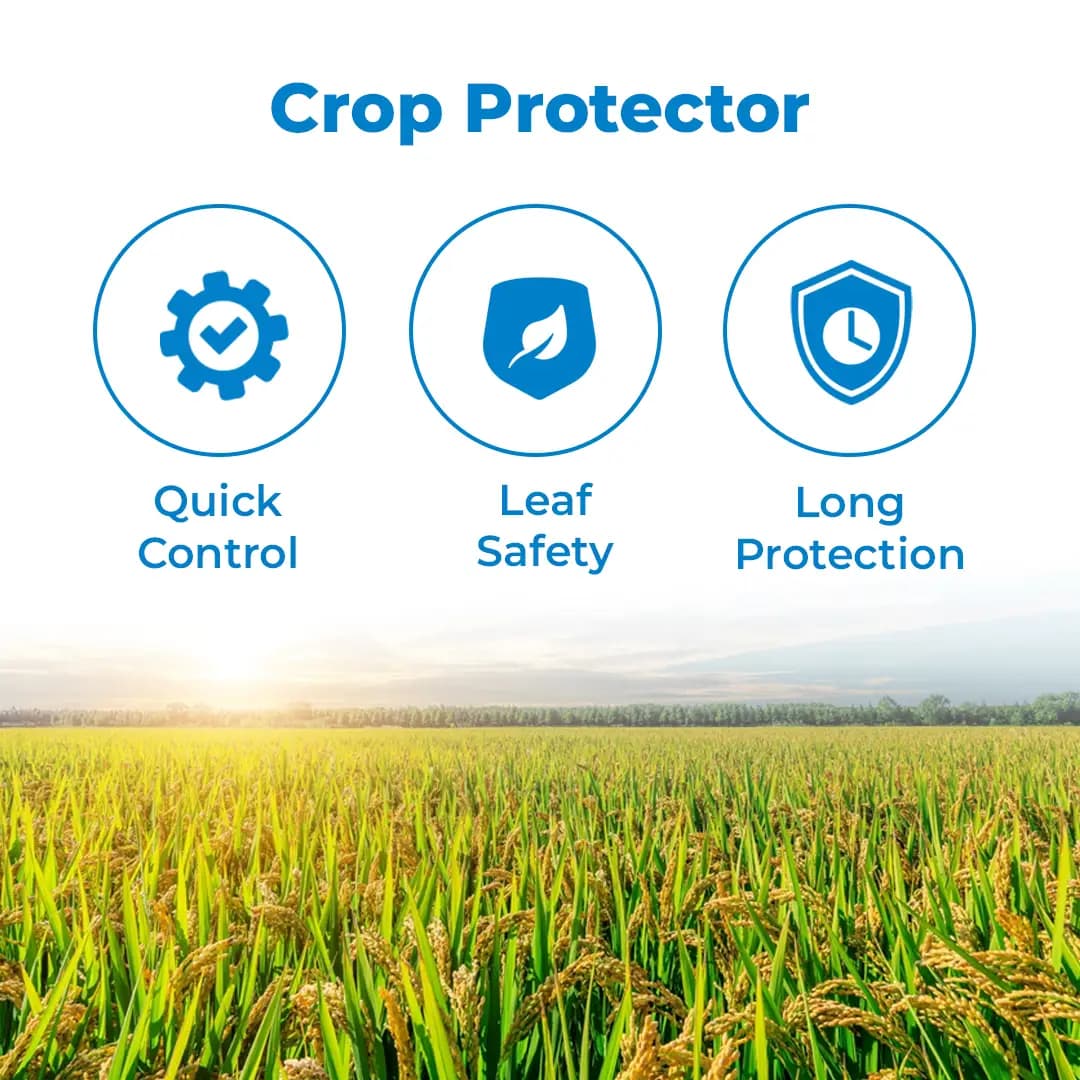 Krishigiri FEZONIL Buprofezin 23.1% + Fipronil 3.85% SC Insecticide, Effective For Pest Control In Rice Crop - Image 3