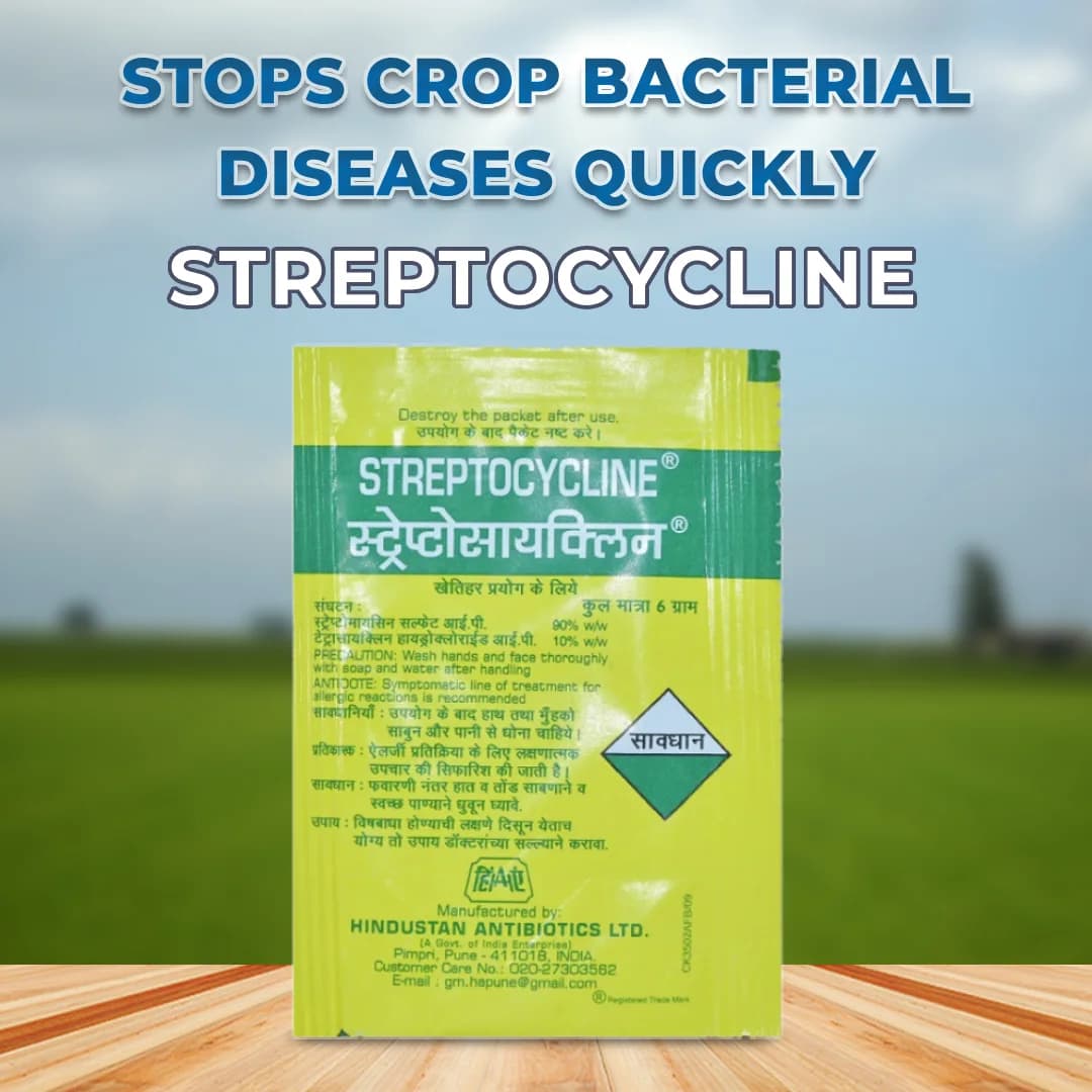 Hindustan Antibiotics Streptocycline, Streptomycin Sulphate 90% + Tetracycline Hydrochloride 10%, Effective Control Of Bacterial Diseases Of Plants - Image 2