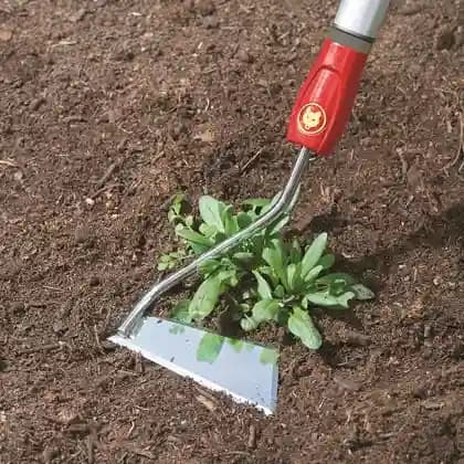 Wolf Garten Swoe Weeding Device (SH-M) 12 Cm, Light Weight and Comfortable to use - Image 3