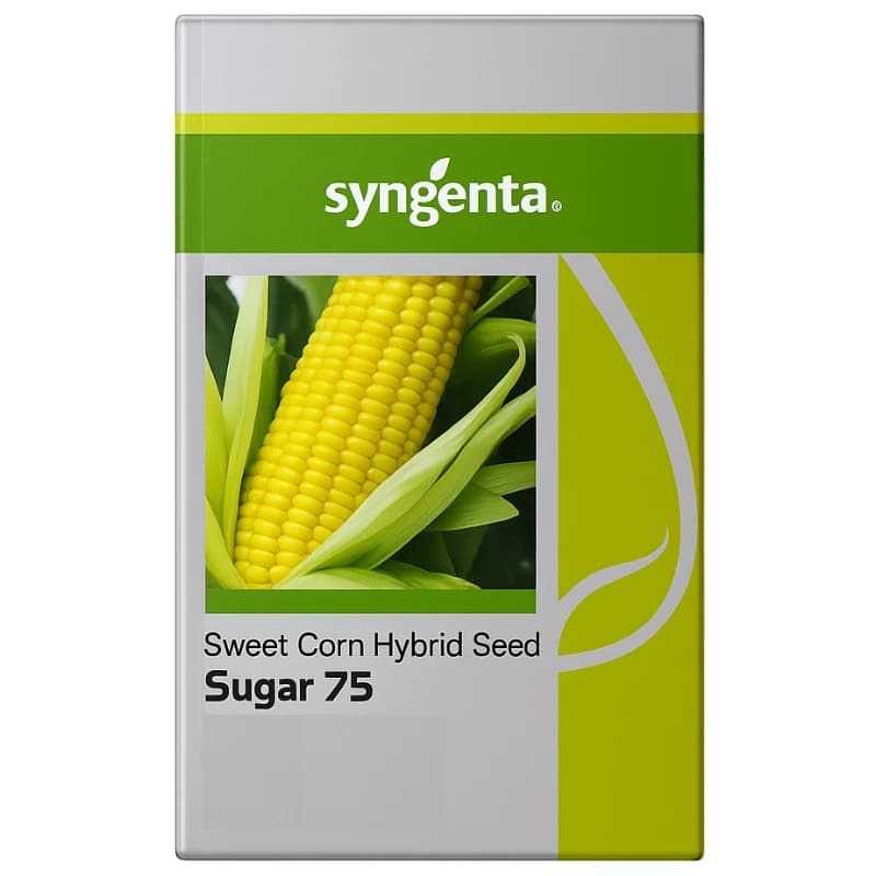 Syngenta Sugar 75 F1 Hybrid Sweet Corn Seeds - Image 1
