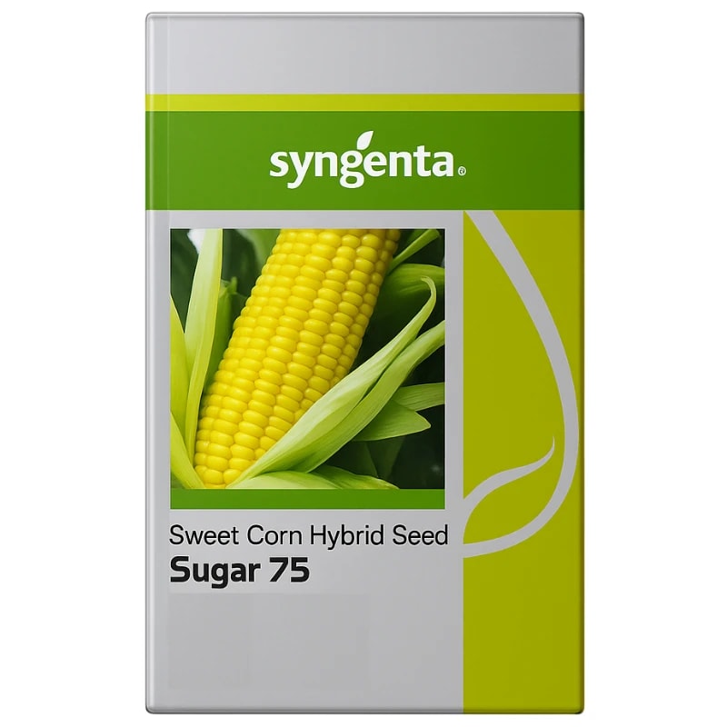 Syngenta Sugar 75 F1 Hybrid Sweet Corn Seeds