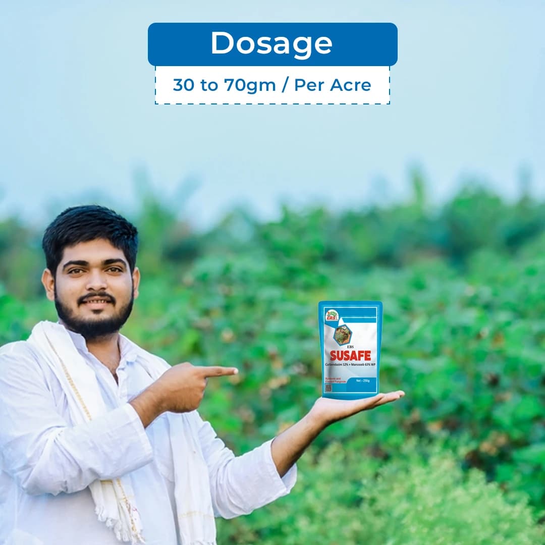 ईबीएस सुसेफ कार्बेन्डाजिम 12% + मैन्कोज़ेब 63% डब्ल्यूपी, ब्रॉड स्पेक्ट्रम सिस्टमिक फफूंदनाशक, कई रोगों के विरुद्ध प्रभावी - Image 5