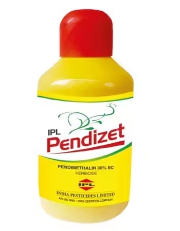 IPL Pendizet Pendimethalin 30% EC Herbicide