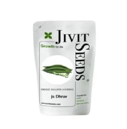Jivit F1 Hybrid Ridge Gourd Seeds Js Dhruv, Strong and Sturdy Vines with Long Fruits 1