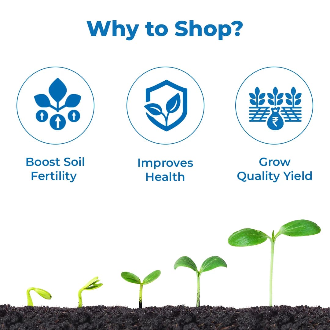 Insta Ammonium Molybdate, Essential Nutrient Of Plant, Help Faster Growth of Plant - Image 3