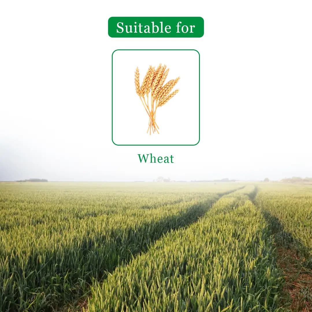 Insecticide India Omega Clodinafop Propargyl 15% WP, Post Emergence Broad Spectrum Herbicide - Image 4