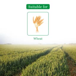 Insecticide India Omega Clodinafop Propargyl 15% WP, Post Emergence Broad Spectrum Herbicide 4