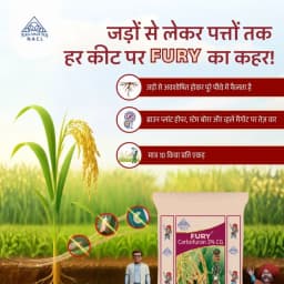 NACL Nagarjuna FURY Carbofuran 3% CG Insecticide, Effective For Pests And Nematodes In Crops 2