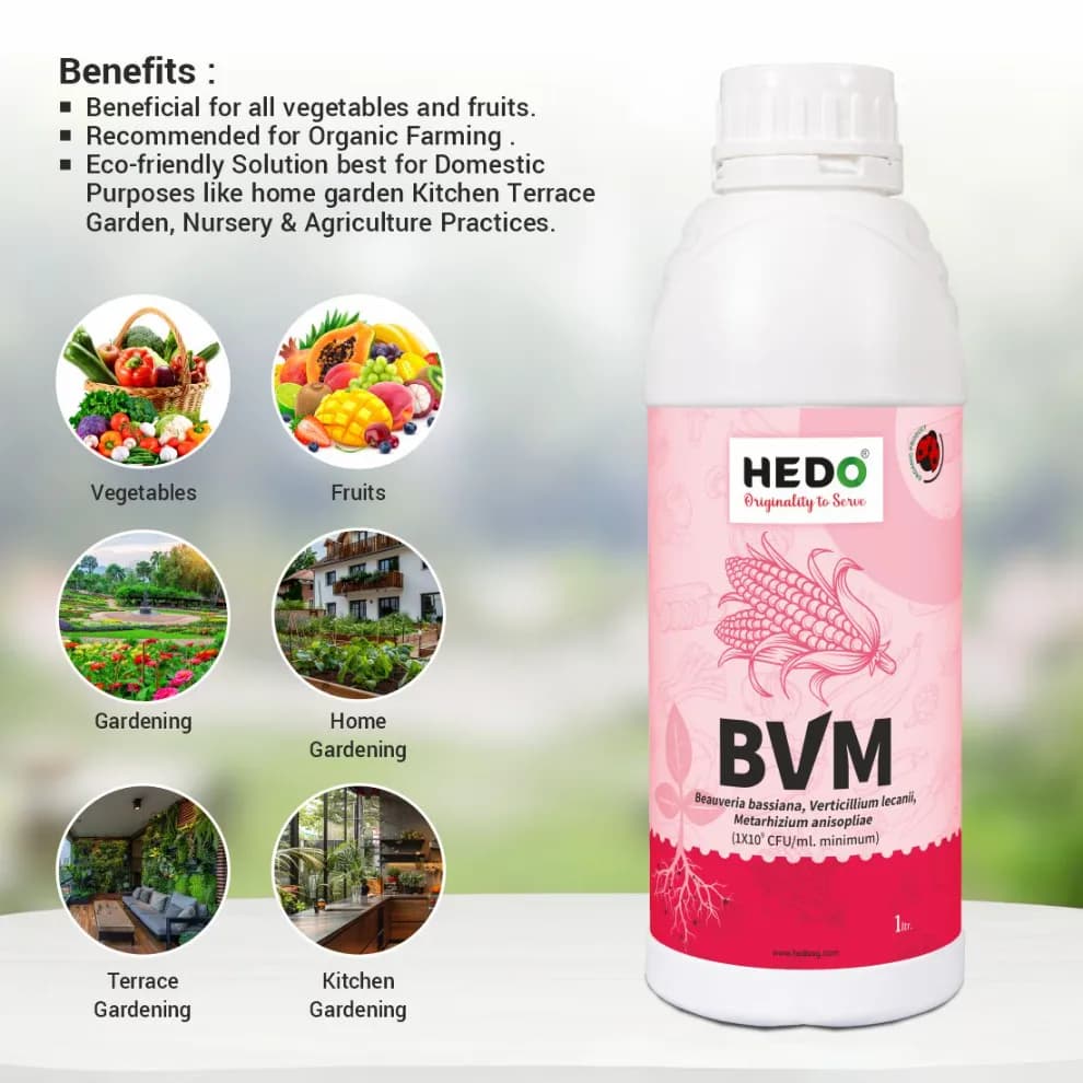 HEDO BVM (Beauveria bassiana + Verticillum Lecanii + Metarhizium Anisopliae) Liquid Bio Pesticide, Targets Many Pests, Including Aphids, Thrips, Etc - Image 3