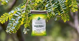 SRI SAI FORESTRY - Arabic Gum (Acacia Nilotica) Babool Tree seeds - Live Fencing Tree Seeds 8