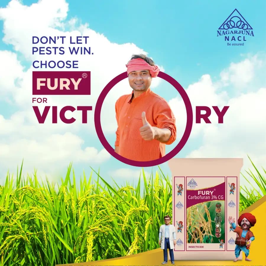 NACL Nagarjuna FURY Carbofuran 3% CG Insecticide, Effective For Pests And Nematodes In Crops - Image 3