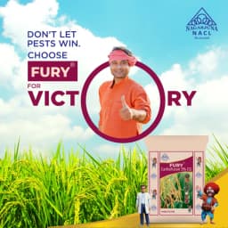 NACL Nagarjuna FURY Carbofuran 3% CG Insecticide, Effective For Pests And Nematodes In Crops 3