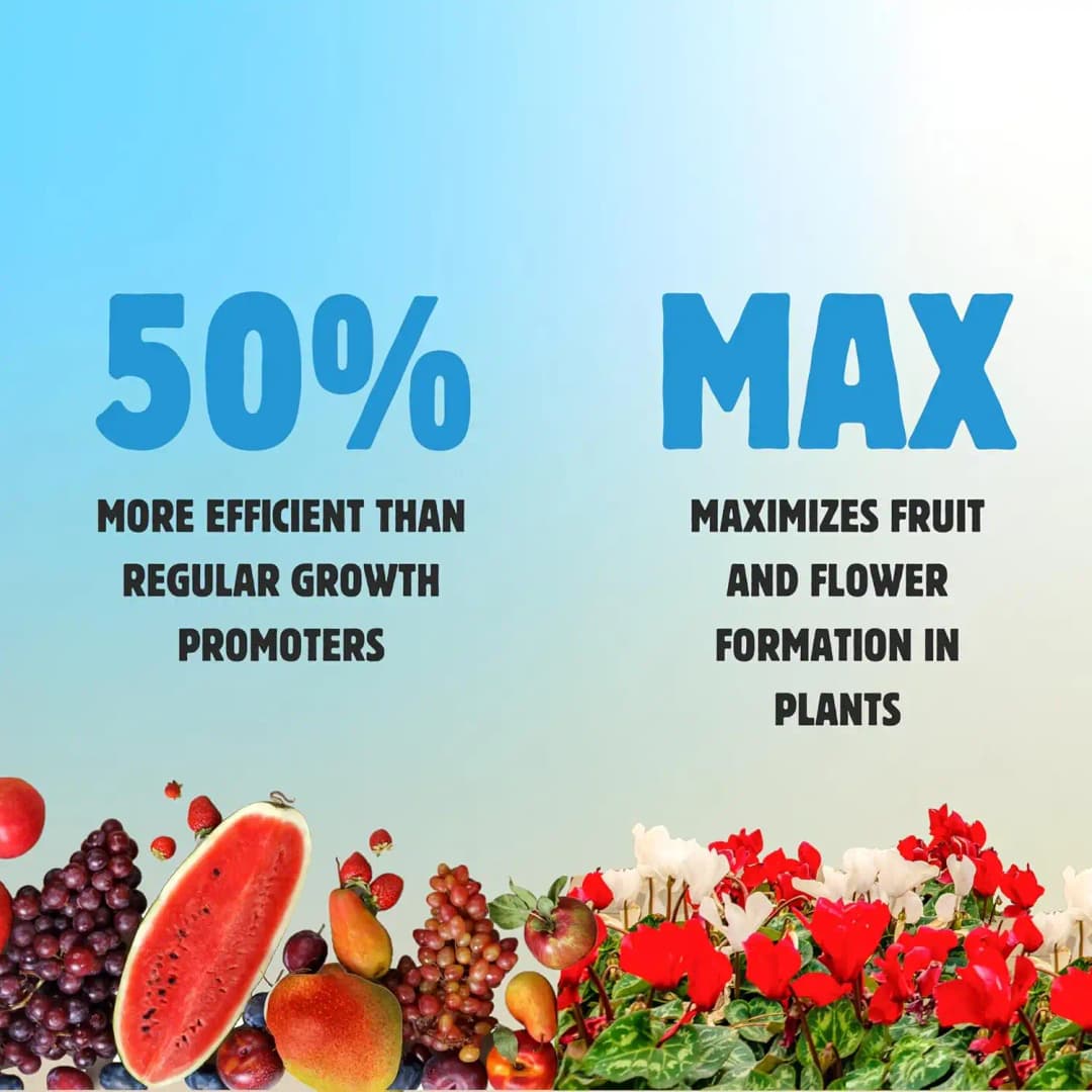 BloomBuddy Organic Seaweed Extract Liquid Fertilizer, Growth Promoter For Indoor & Outdoor Plants - Image 5