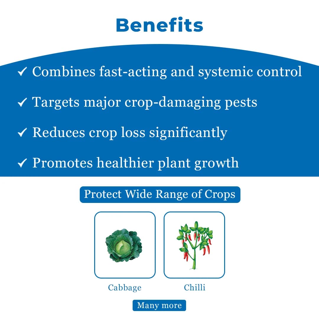 Gharda Black Indoxacarb 5% + Fipronil 5% SC Insecticide, Control Of Thrips In Chilli And Diamond Back Moth In Cabbage - Image 4