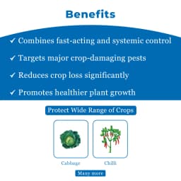 Gharda Black Indoxacarb 5% + Fipronil 5% SC Insecticide, Control Of Thrips In Chilli And Diamond Back Moth In Cabbage 4