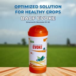 BACF EVOKE - Emamectin Benzoate 5% SG Effective Insecticide , Controls all types of Gardening and Agricultural Insects. 2