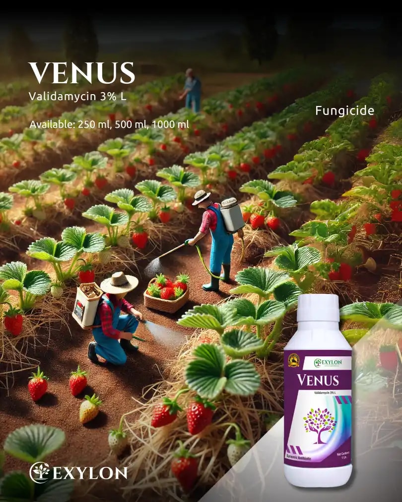 Exylon Venus Validamycin 3% L Fungicide, Broad-Spectrum, Fungal And Bacterial Diseases Controls In Crops