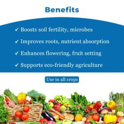 Noble Zyme Unique Soil Conditioner, Improves Soil Humidity Structure and Viability, Suitable For All Kinds Of Crops 4